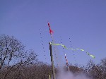 First launch of the my Alpha
