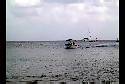 Cozumel Pic