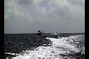 Cozumel Pic