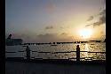 Cozumel Pic