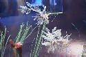 Sea Dragons